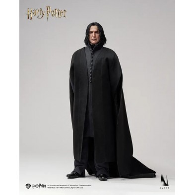 1/6 哈利波特與混血王子 - 賽佛勒斯 石內卜